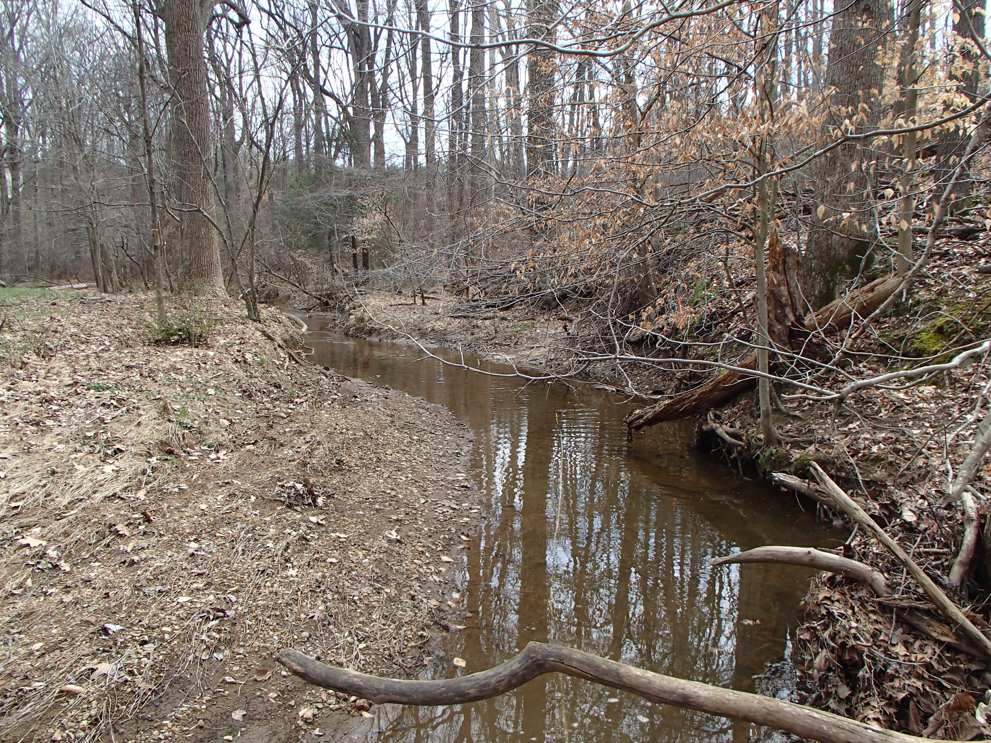 Field photo showing stream conditions at site PRMO-205-X-2016_Midpoint facing upstream